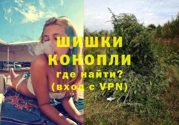 трава Балахна
