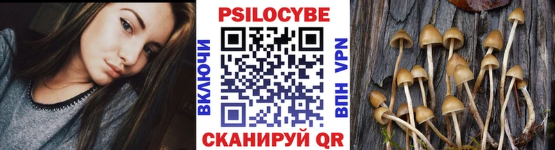 Псилоцибиновые грибы GOLDEN TEACHER  Энем 